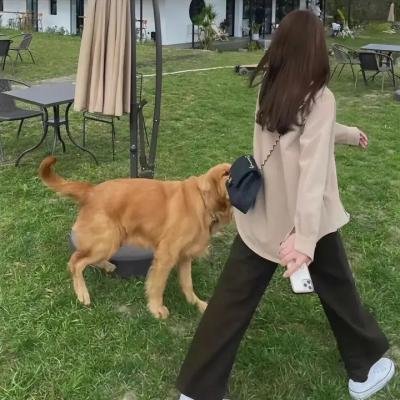 沉默不语的顾小姐